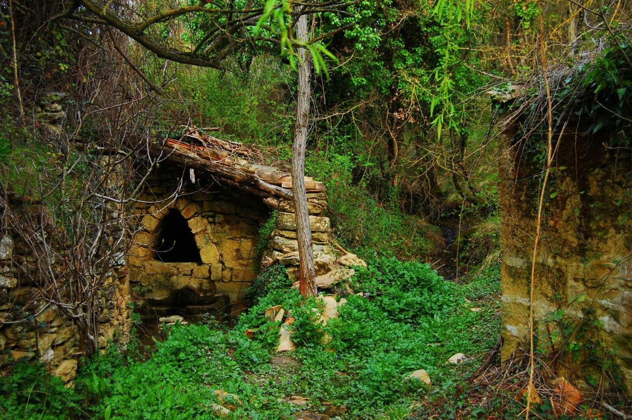 La Posada Del Arba El Frago Exterior foto